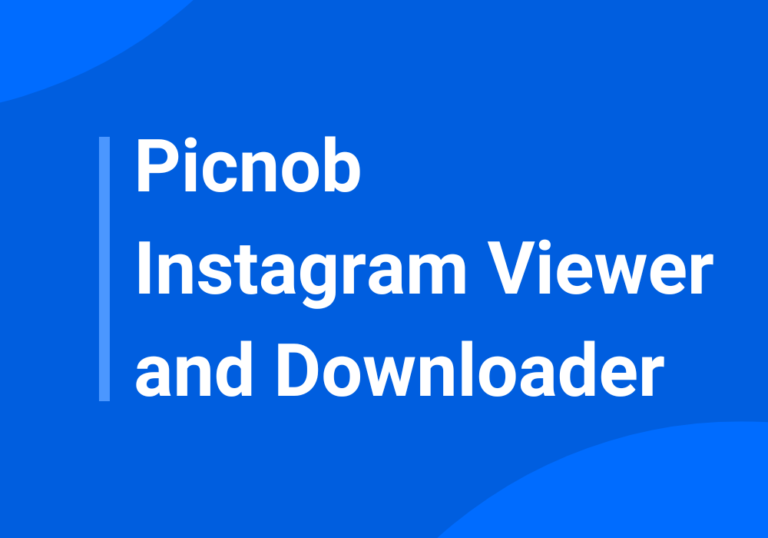 Picnob Instagram Viewer and Downloader