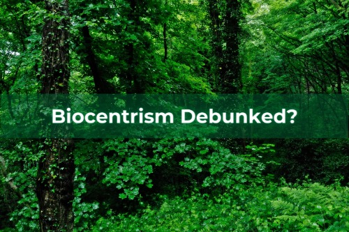 Biocentrism Debunked? Controversial Fusion of Science and Philosophy